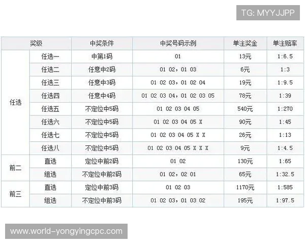 广东11选5开奖结果查询与分析最新动态及投注技巧解析