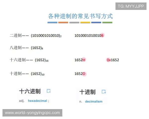 解析PK10历史数据揭秘赛果规律与投注技巧全面指南