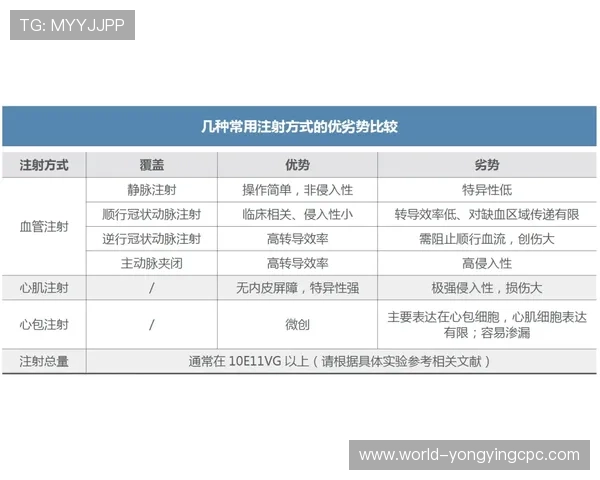 11选5投注技巧解析与高效计划制定策略全面指南
