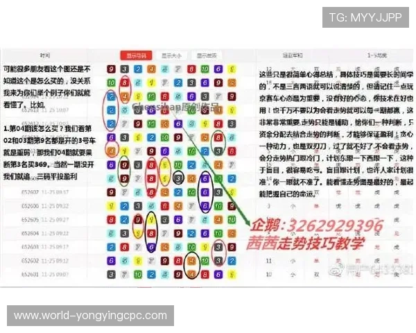 官方飞艇玩法精准计划解析助你轻松掌握高频选号技巧与稳定追分思路