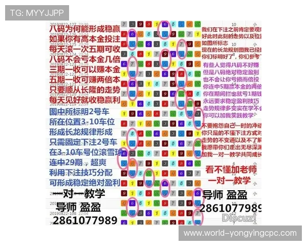 极速飞艇玩法详解与投注技巧策略全面指南分析 极速飞艇玩法详解与投注技巧策略全面指南分析