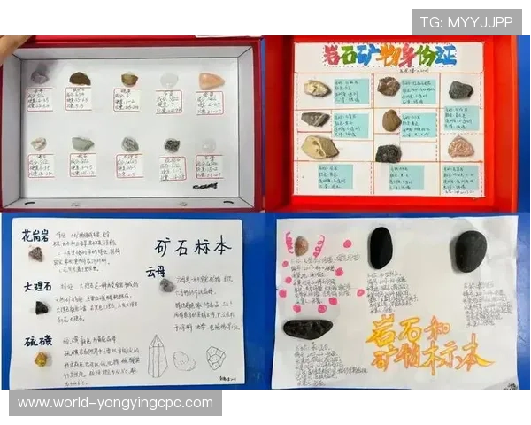 破解彩票奥秘的科学方法与高概率预测技巧全解析